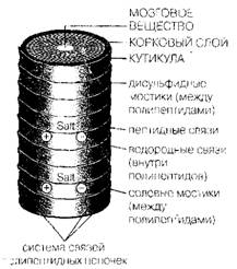 Курсовая работа: Работа с лицами, 