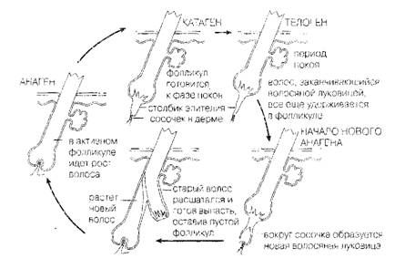 Курсовая работа: Работа с лицами, 