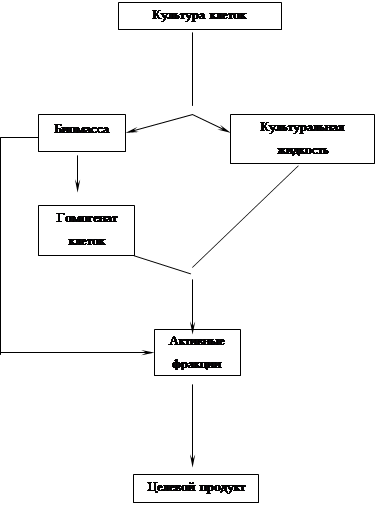 Реферат: Экстракция