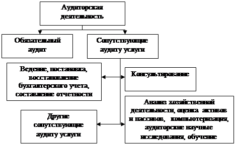 Реферат: Организация аудита