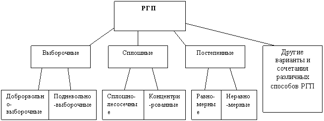 Реферат: Способы рубок главного пользования и их особенности