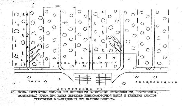 Реферат: Лесосечные работы 2