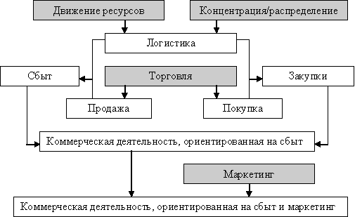 Реферат: Маркетинг и коммерческая деятельность