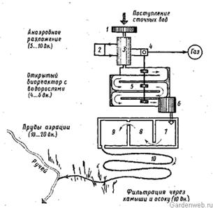 Реферат: Анаэробная биологическая очистка сточных вод