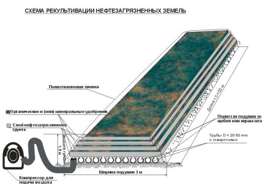 Реферат: Технология рекультивации нефтезагрязненных поверхностей неосушенных торфяных болот