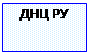 Підпис: ДНЦ РУ