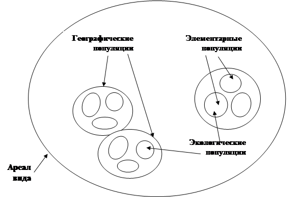 Реферат: Популяции