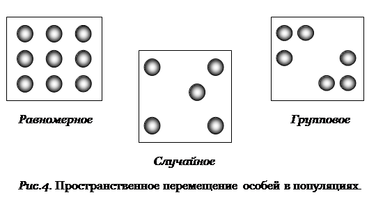 Реферат: Популяции