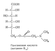 Реферат Витамин В5