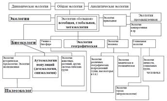 Реферат: Екологічна ситуація Новотроїцького району