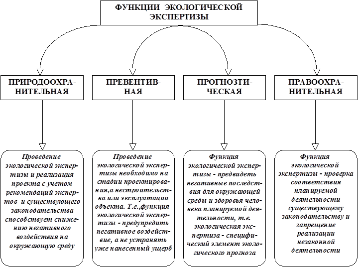 Реферат: Порядок проведения экологической экспертизы