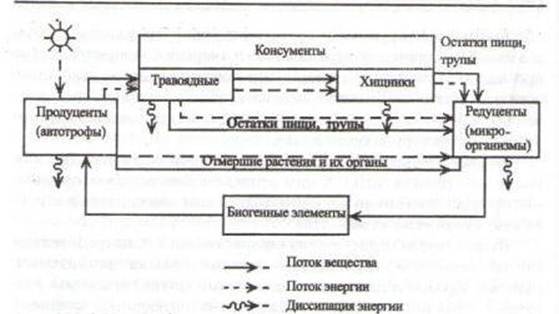 http://www.ekologia-v-vuz.ru/image/transformazia-energii.jpg