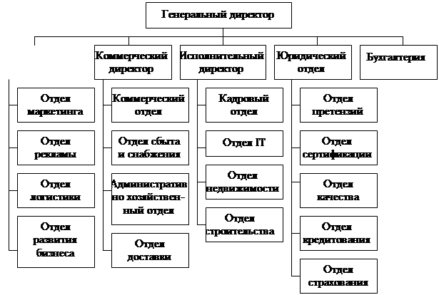 Реферат: Анализ деятельности техно-торгового центра ТТЦ Бирюса г. Благовещенска