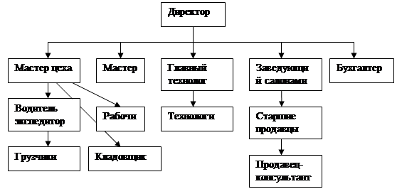 Реферат: Структура управления 2