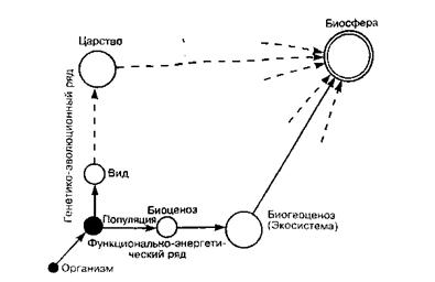 Реферат: Биоценоз, как часть биосферы