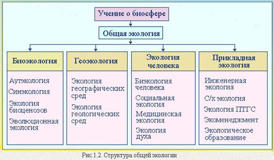 Реферат: Определение, функционирование, взаимосвязи, иерархия природных ланшафтов