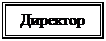 Підпис: Директор