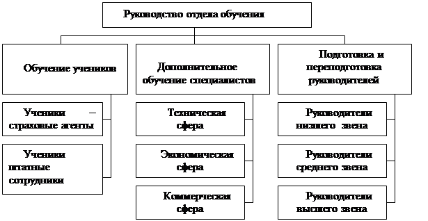 Реферат: Управление процессами подготовки и переподготовки персонала организации