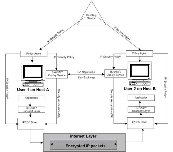 Реферат Tcp/Ip