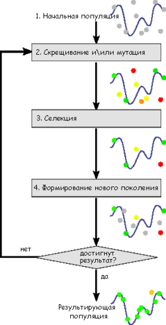 http://upload.wikimedia.org/wikipedia/commons/thumb/c/ca/Schema_simple_algorithe_genetique_ru.png/239px-Schema_simple_algorithe_genetique_ru.png