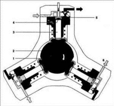    Common Rail Hyundai Elantra