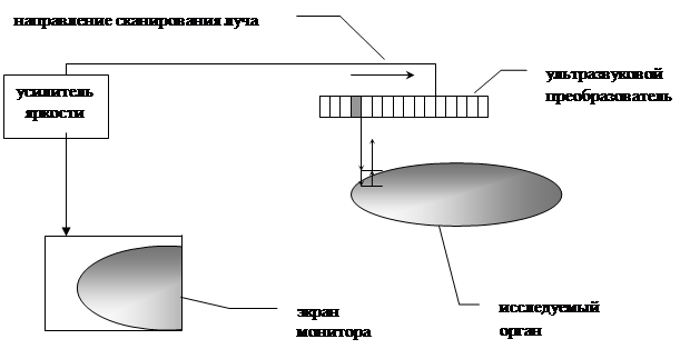 Реферат Уз