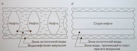  : C:\Users\RAMAZAN\Desktop\ \P5071673.JPG