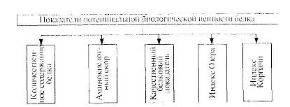 Реферат: Пищевая и биологическая ценность белков