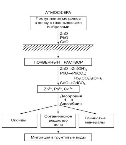 Реферат: Тяжелые металлы в почве